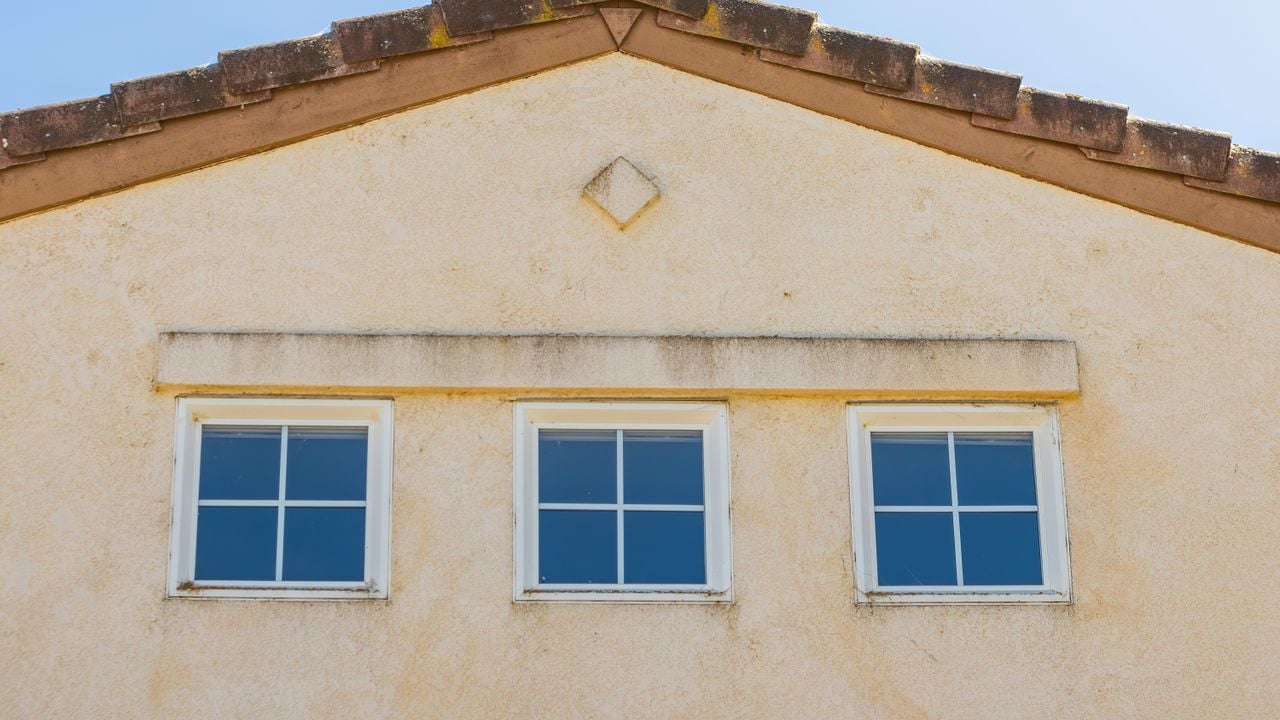 Pexels Photo 12861862